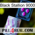 Black Stallion 9000 37